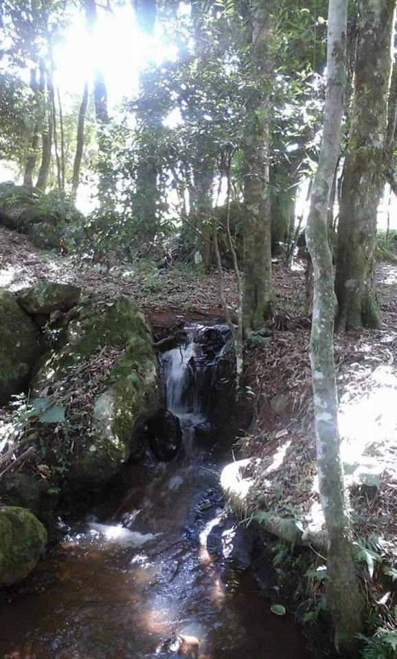 Camping Caitano Ξενοδοχείο Campo Grande  Εξωτερικό φωτογραφία